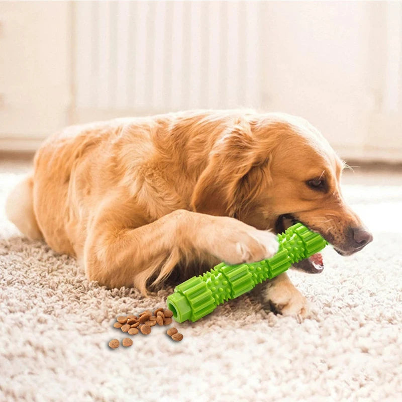 Pet brinquedo de limpeza dentes para cães pequenos e médios. Seu melhor AMIGO com dentes mais saudáveis